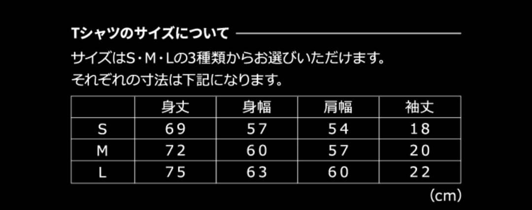 定期購読限定応募者全員サービスヒロアカ スペシャルデザインTシャツ 全4種 L寸