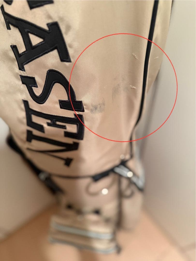 ⭐︎ロサーセン キャディバッグ ルーズマンコラボ⭐︎