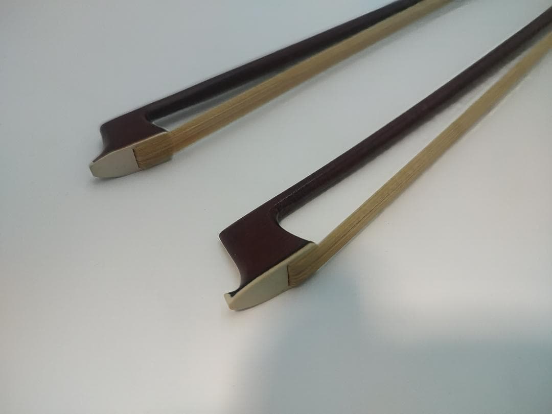 CARLO GIORDANO VS-2 4/4サイズ バイオリン 本体+弓2本