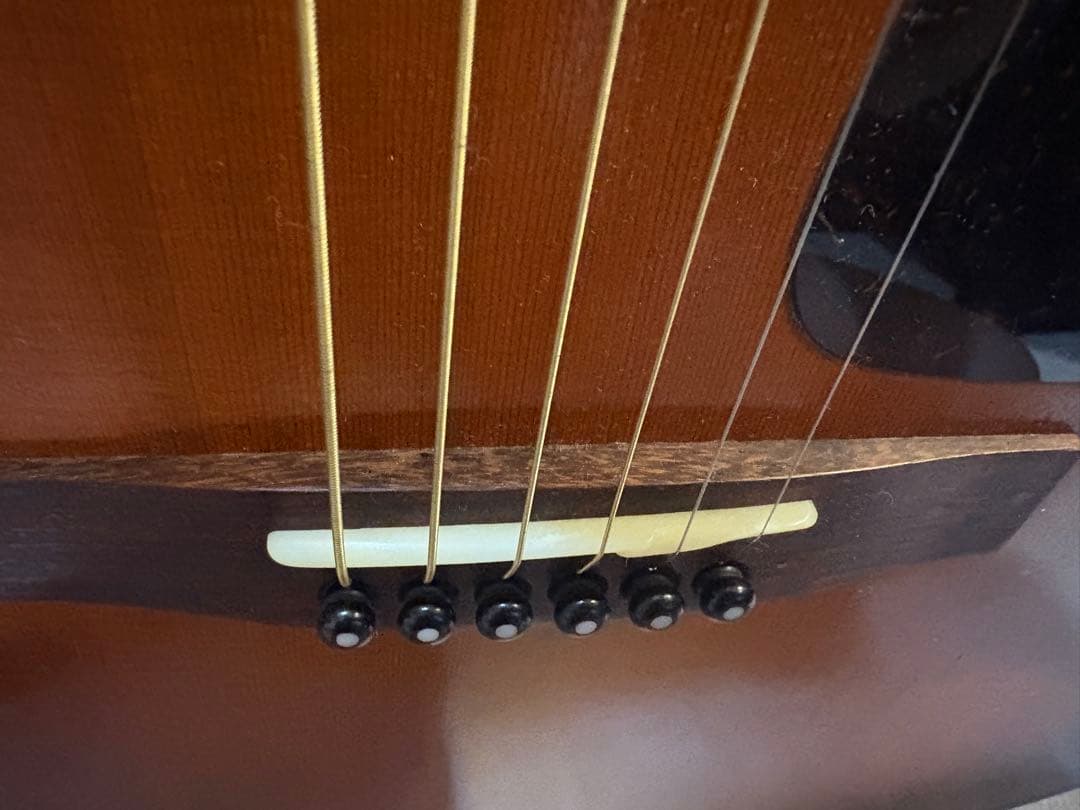 Seagull S6＋ 土日限定値下げ中