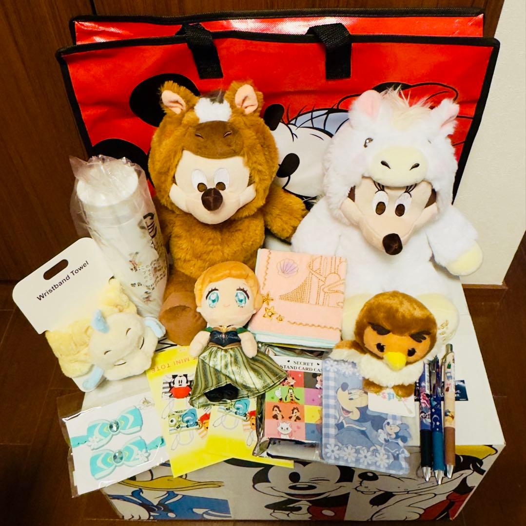 ディズニーストア ラッキーボックス 2026 福袋 ミッキー ミニー 干支