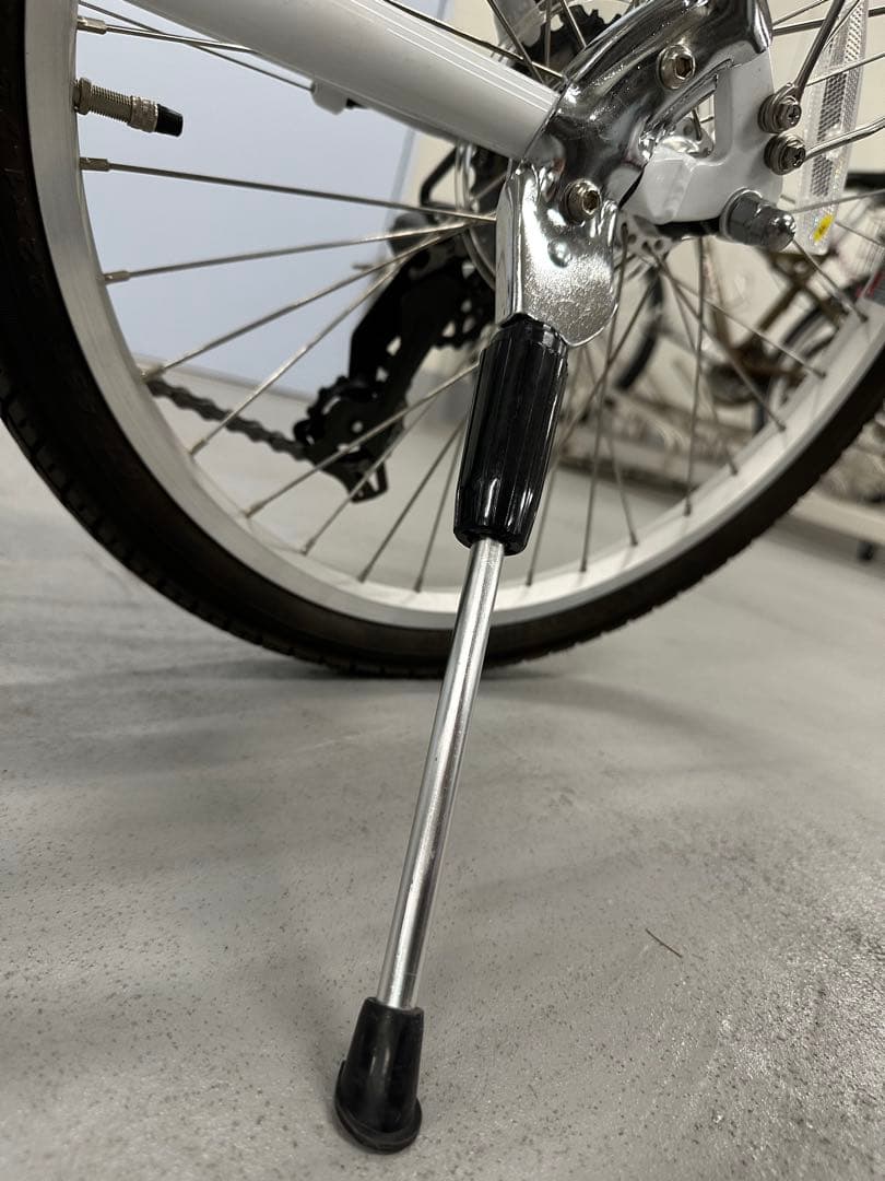 ルイガノ J22 plus +どんぐりバスケット　※2022年購入