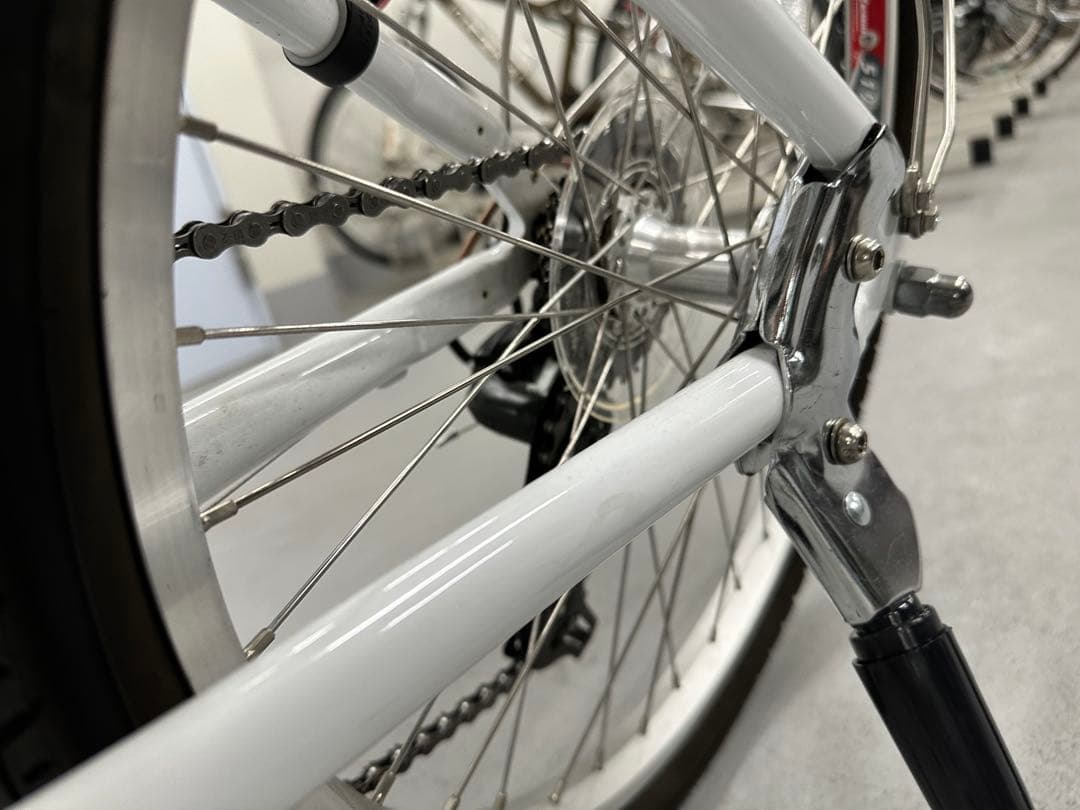 ルイガノ J22 plus +どんぐりバスケット　※2022年購入