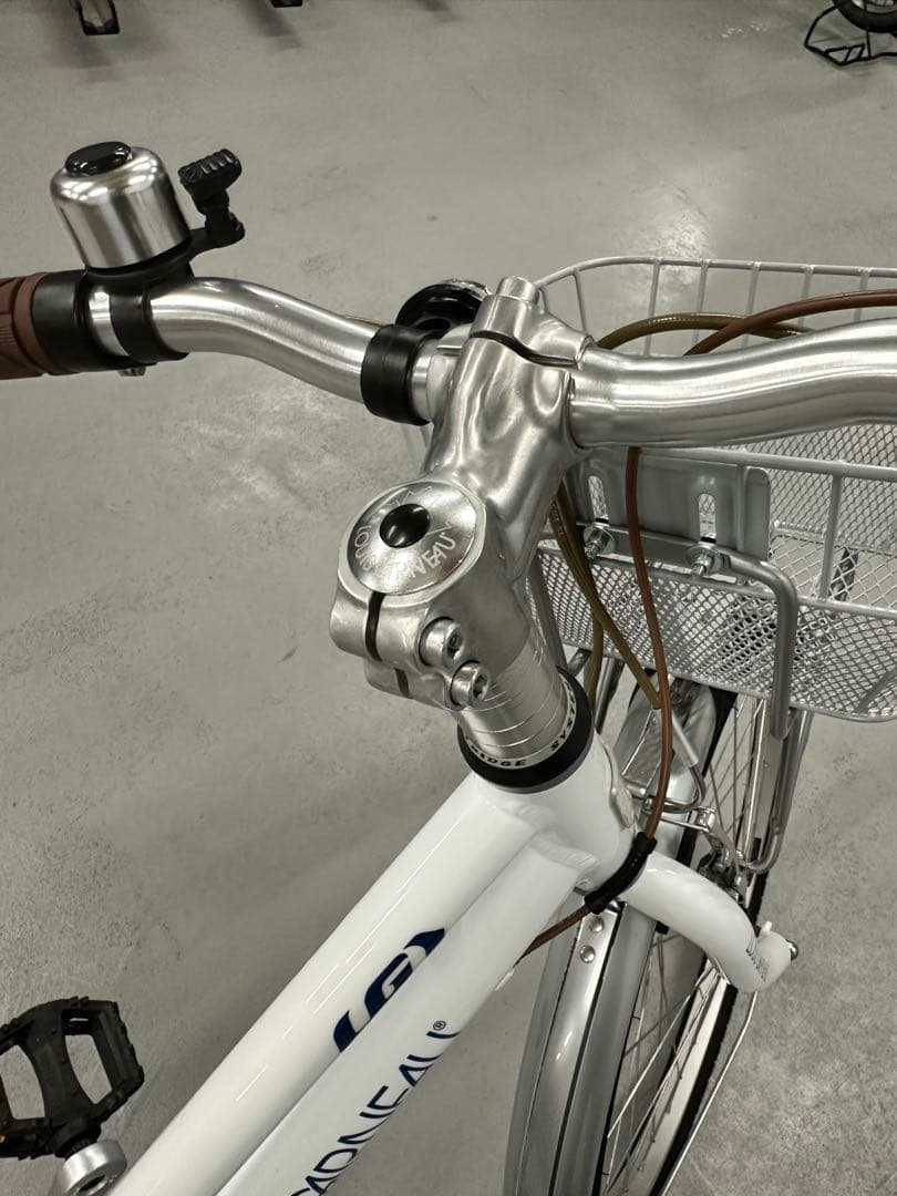 ルイガノ J22 plus +どんぐりバスケット　※2022年購入