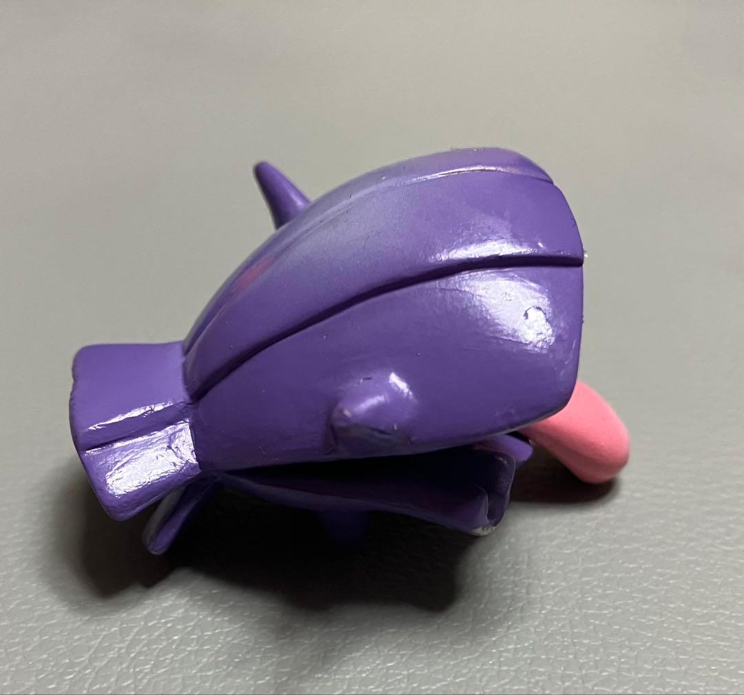 シェルダー モンコレ