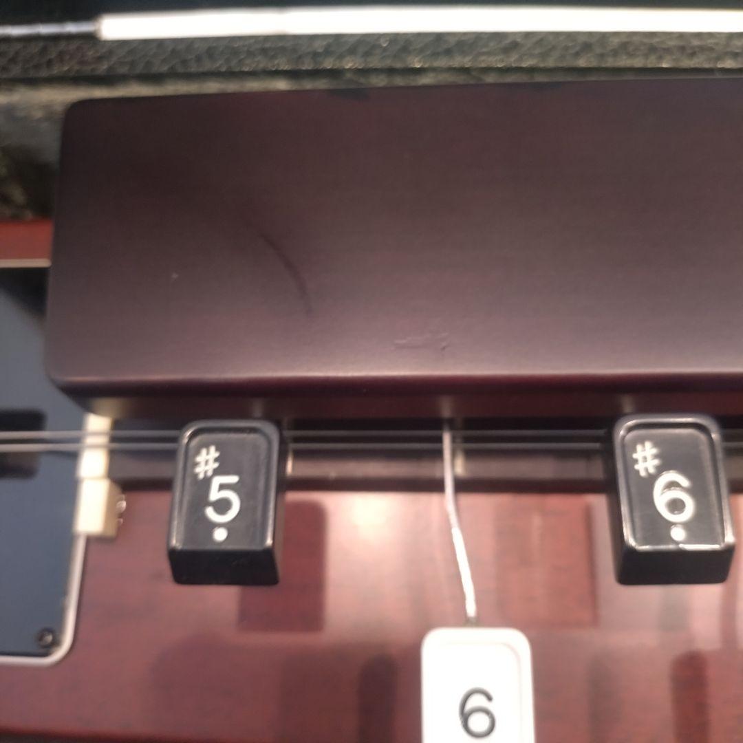 Zen-On テナーエレキ大正琴　牡丹？ 取扱説明書付き