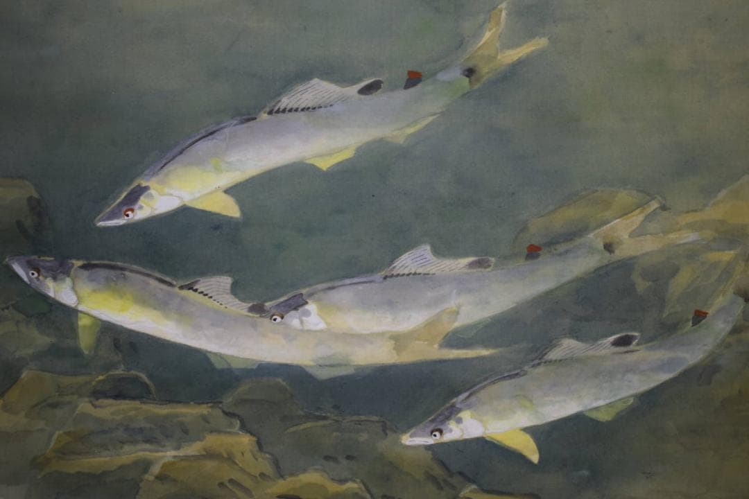 真作/華堂/鮎図/布袋屋掛軸HF-1000