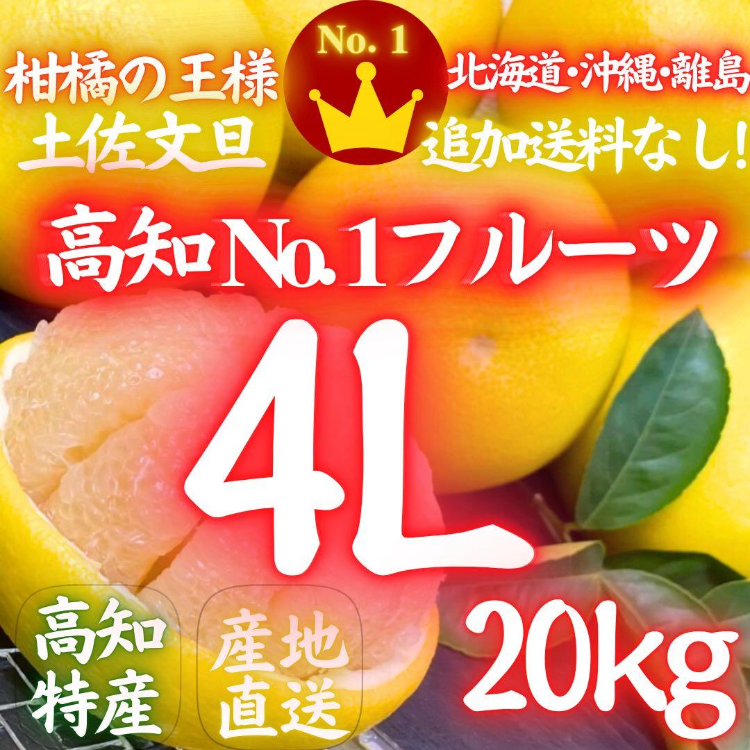 ㉞高知特産 露地栽培 土佐文旦 4L限定 文旦 約20kg 大玉 サイズ
