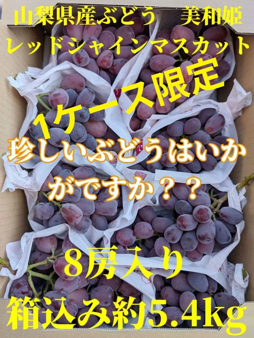 山梨県産ぶどう　美和姫　レッドシャインマスカット8房入り箱込み約5.4kg