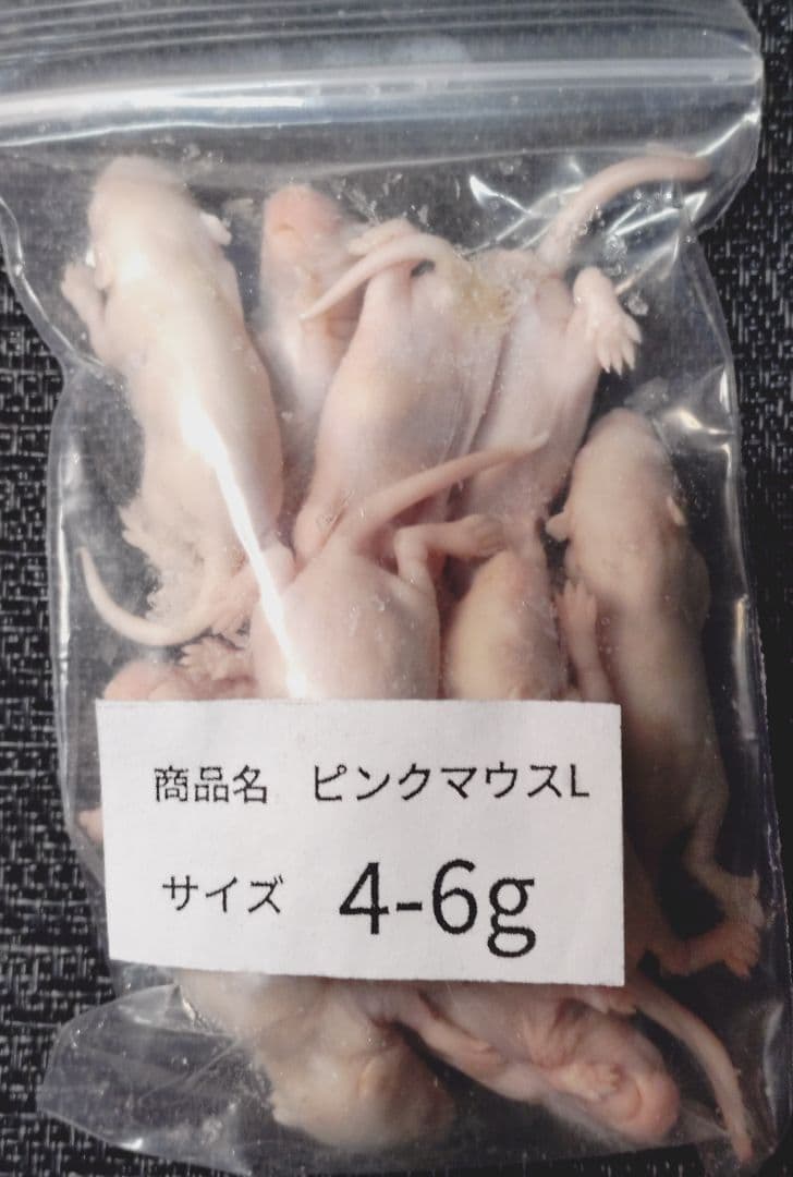送料無料 冷凍ピンクマウスＬ100匹
