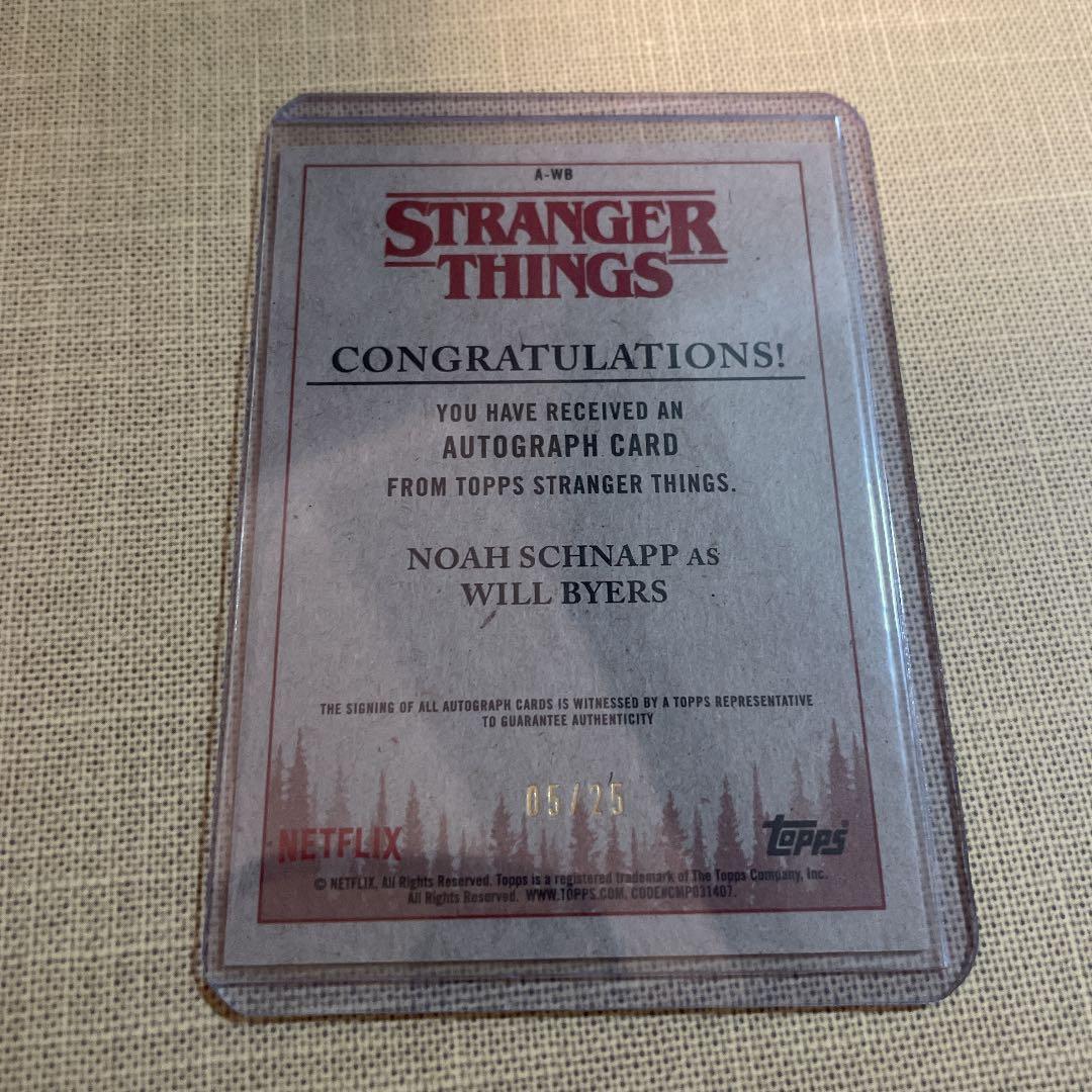 ストレンジャーシングス　カードボックス　サイン　シリアル　ノアシュナップ　レア