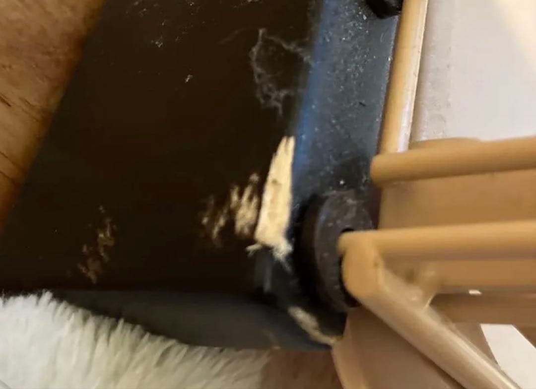 【2月中旬まで限定】引き出し式トレー付きケージ【都内】