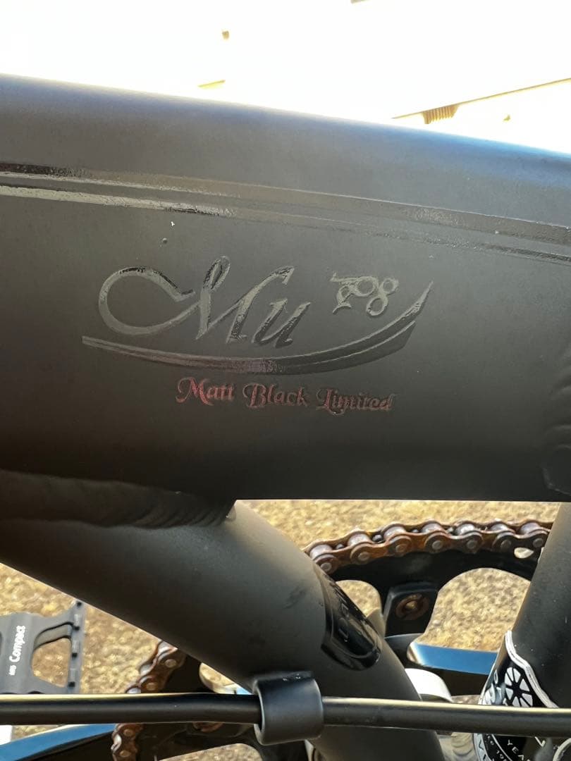 DAHON   MuP8  シングルスピードカスタム