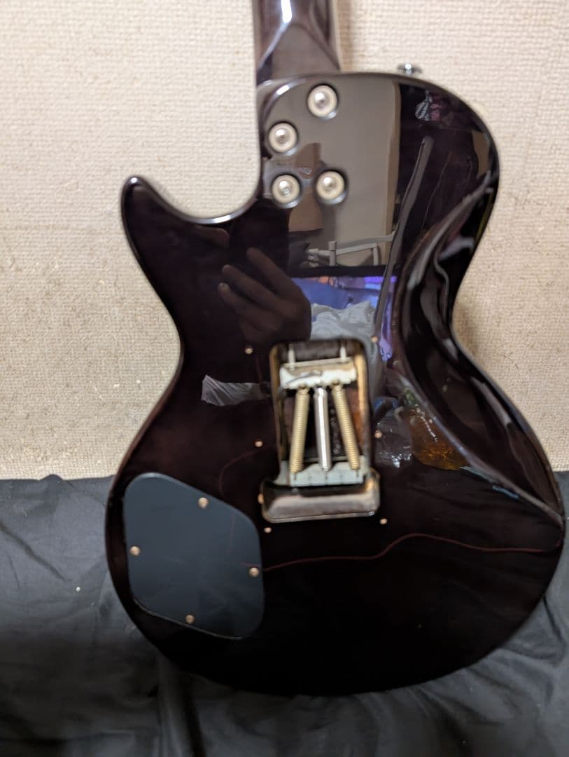 レア Grassroots by ESP フロイドローズ 搭載 レスポール