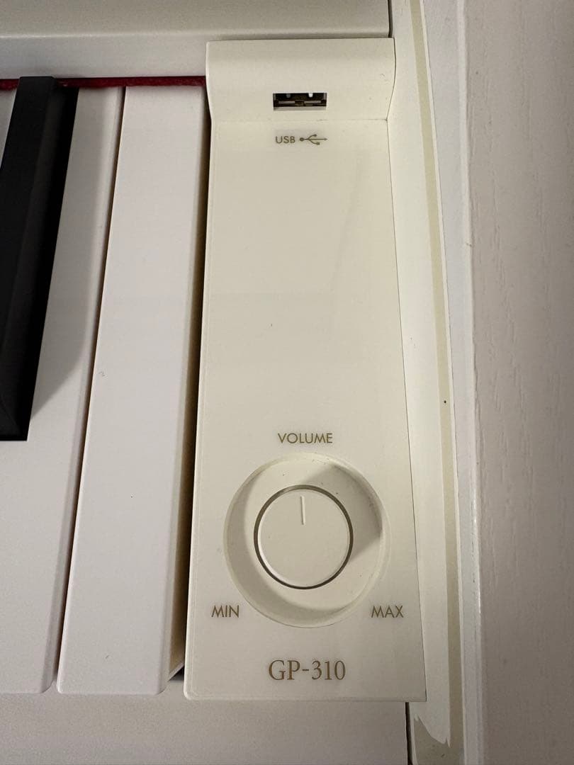 送料込CASIO GP-310WE 2023年製