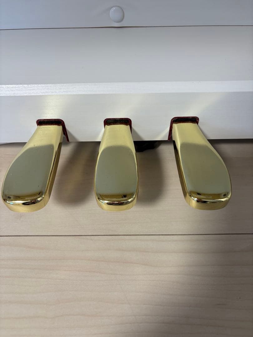 送料込CASIO GP-310WE 2023年製