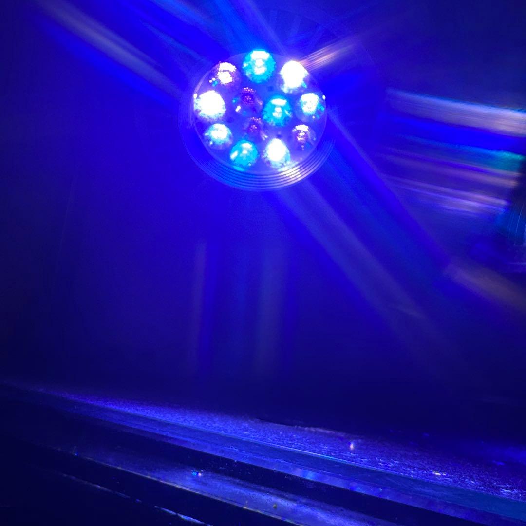 GrassyLeDiorX122 RF E26ソケットライト