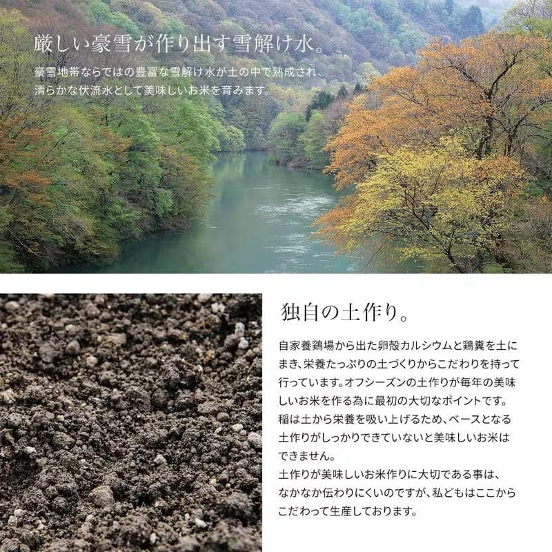 ★山形県産★はえぬき★5㎏ｘ2★単一原料米★令和7年度産★令和８年２月上旬精米★