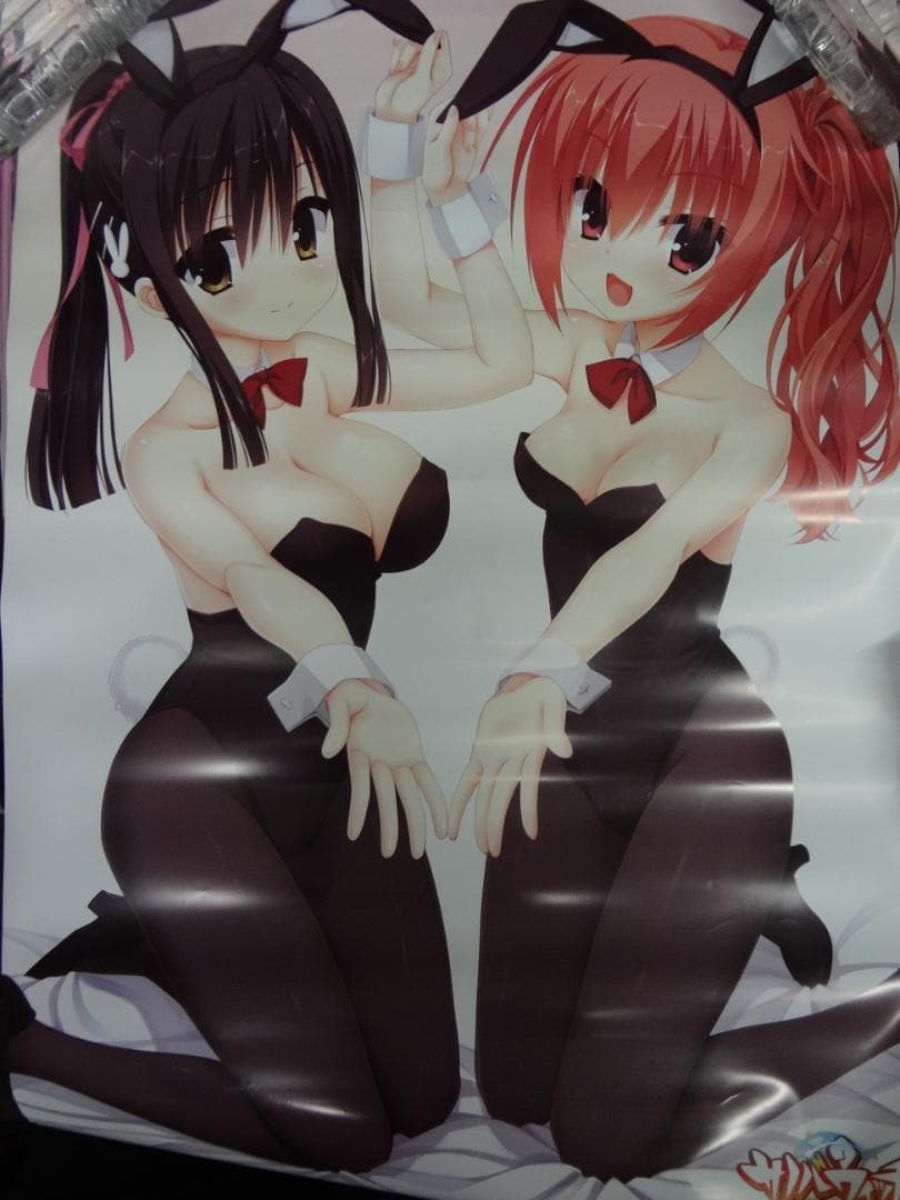 アニメ・ゲーム関連　●ダブリなし●　B２入手困難非売品ポスター１００本セット