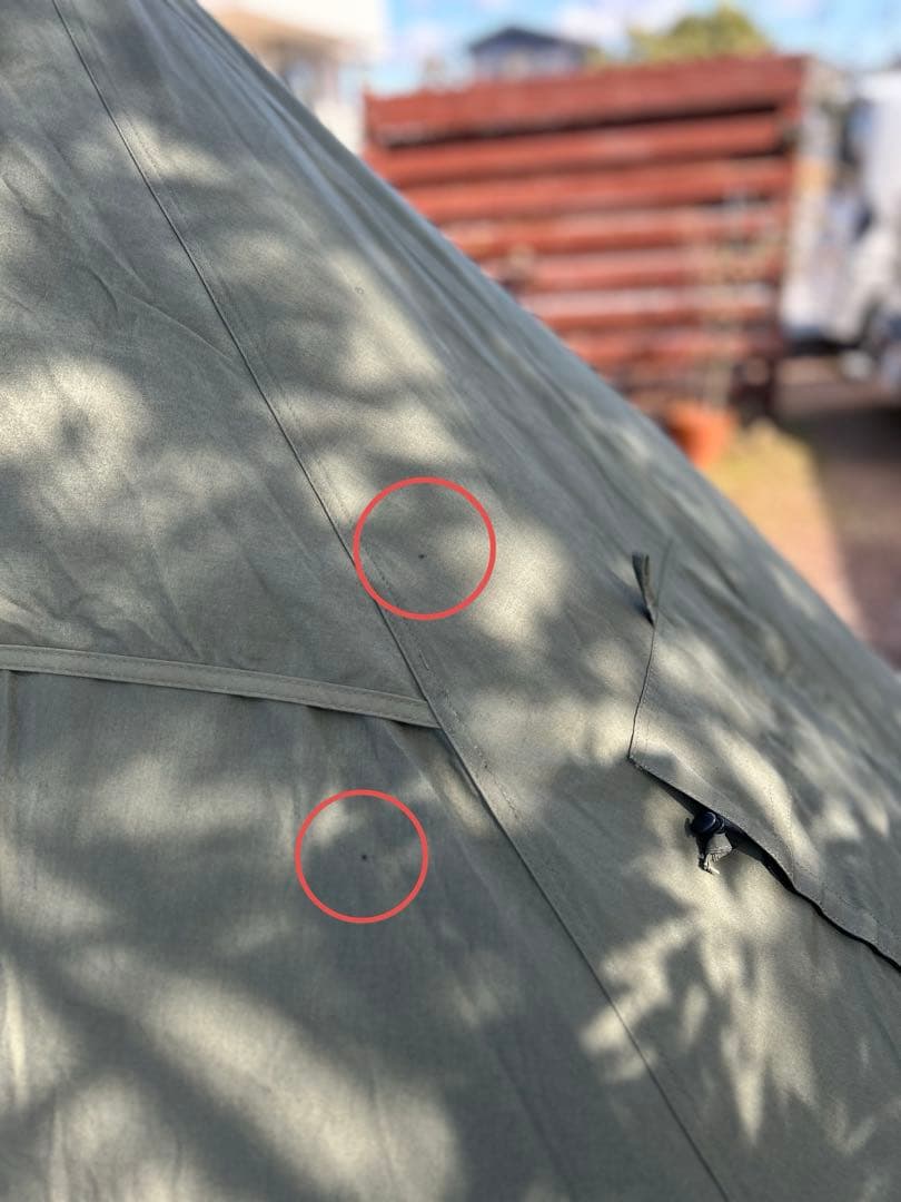 ワンティグリス　コニファー