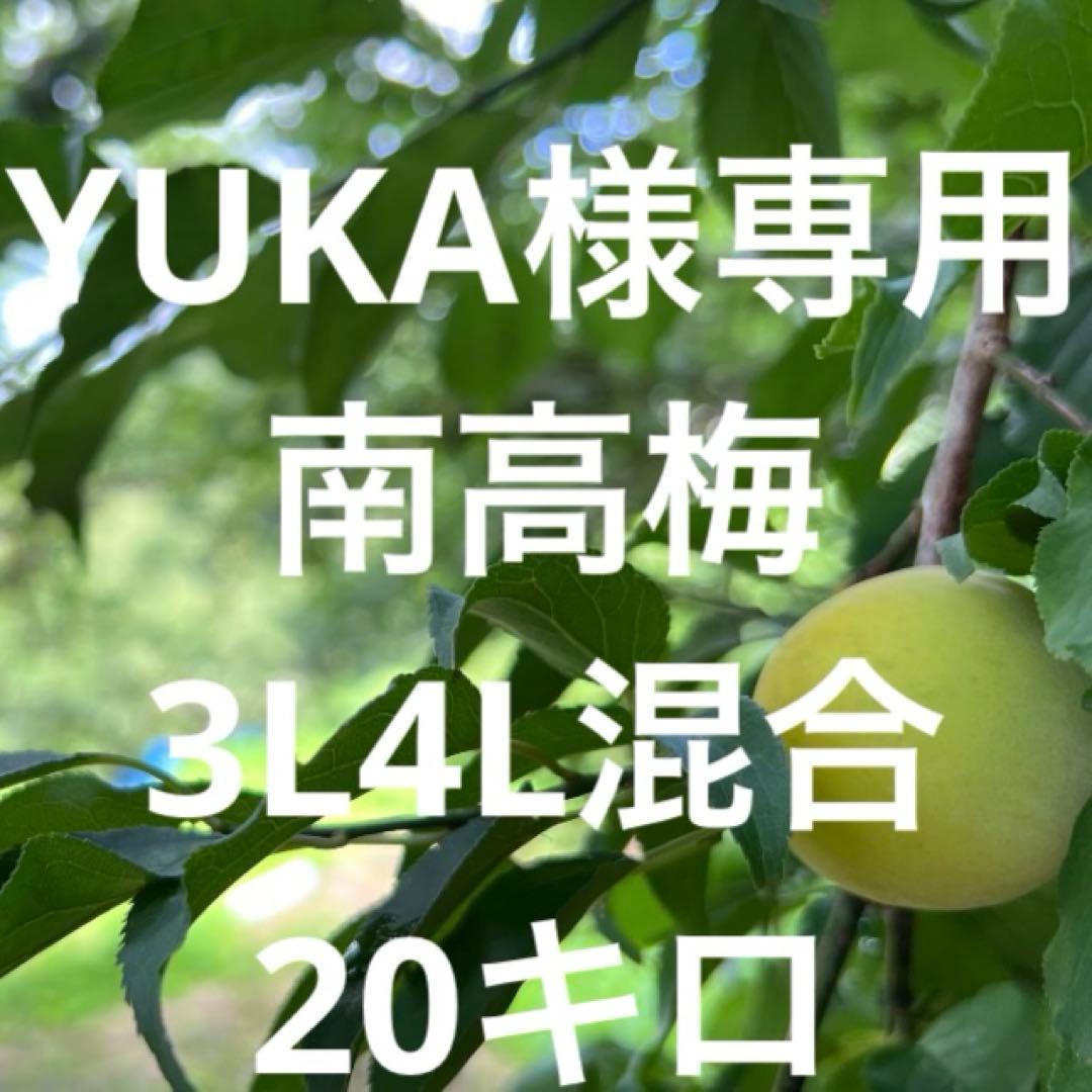 YUKA南高梅3L4L混合20キロ