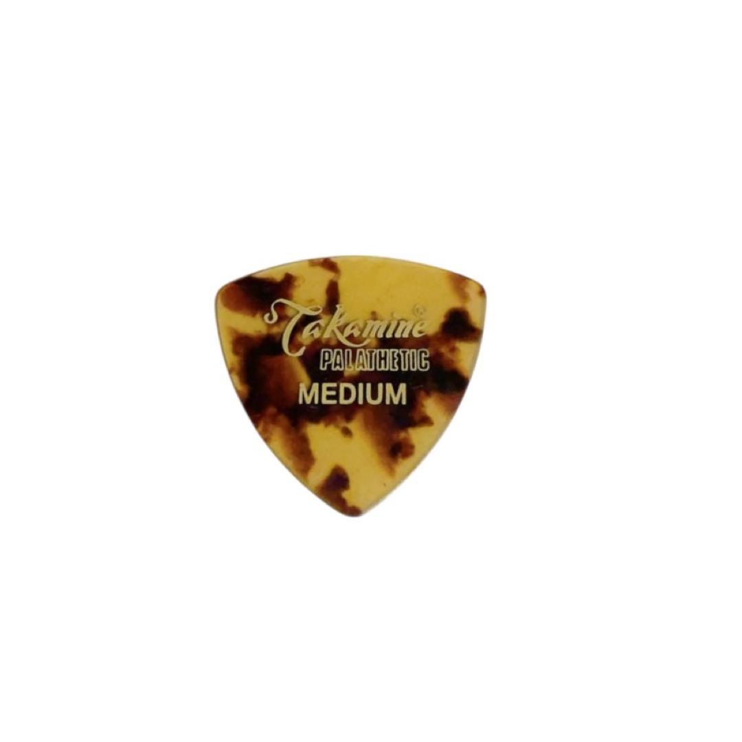 ★*★様 【未使用・在庫残り1】Pnoto Genic エレキギター テレキャス