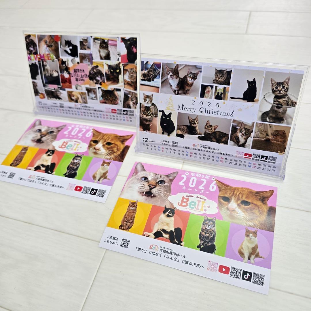 ①《猫》 卓上チャリティーカレンダー5枚セット