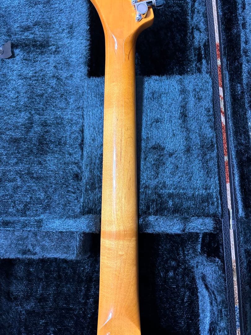 FERNANDES zo-3 芸達者