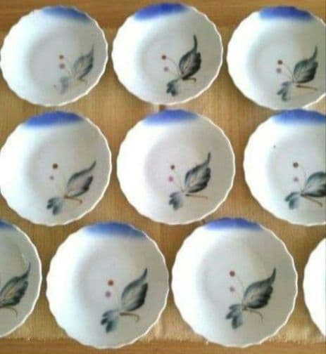明治　大正　昭和レトロ　時代物　骨董品　伊万里　花縁取り小皿　ヤブコウジ　14枚