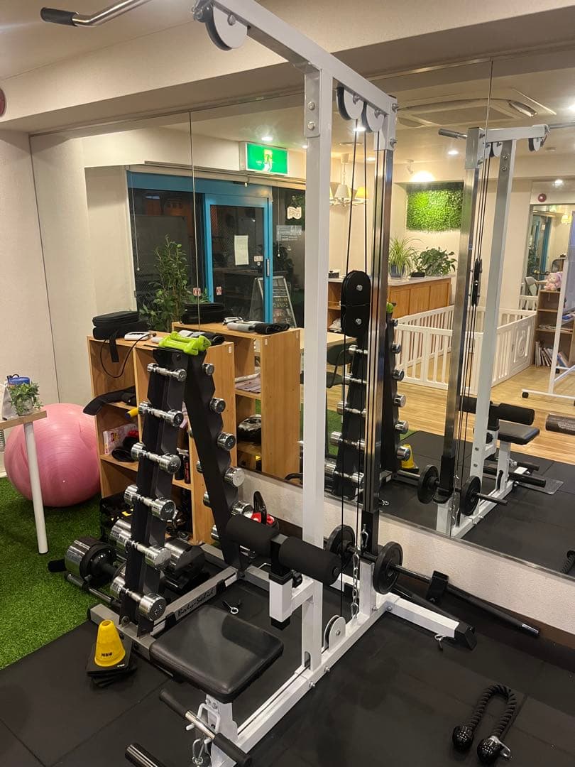 ラットプルマシン コンパクト【引取限定】