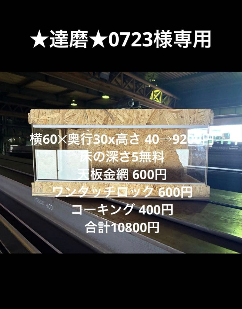 ★達磨★0723　603040