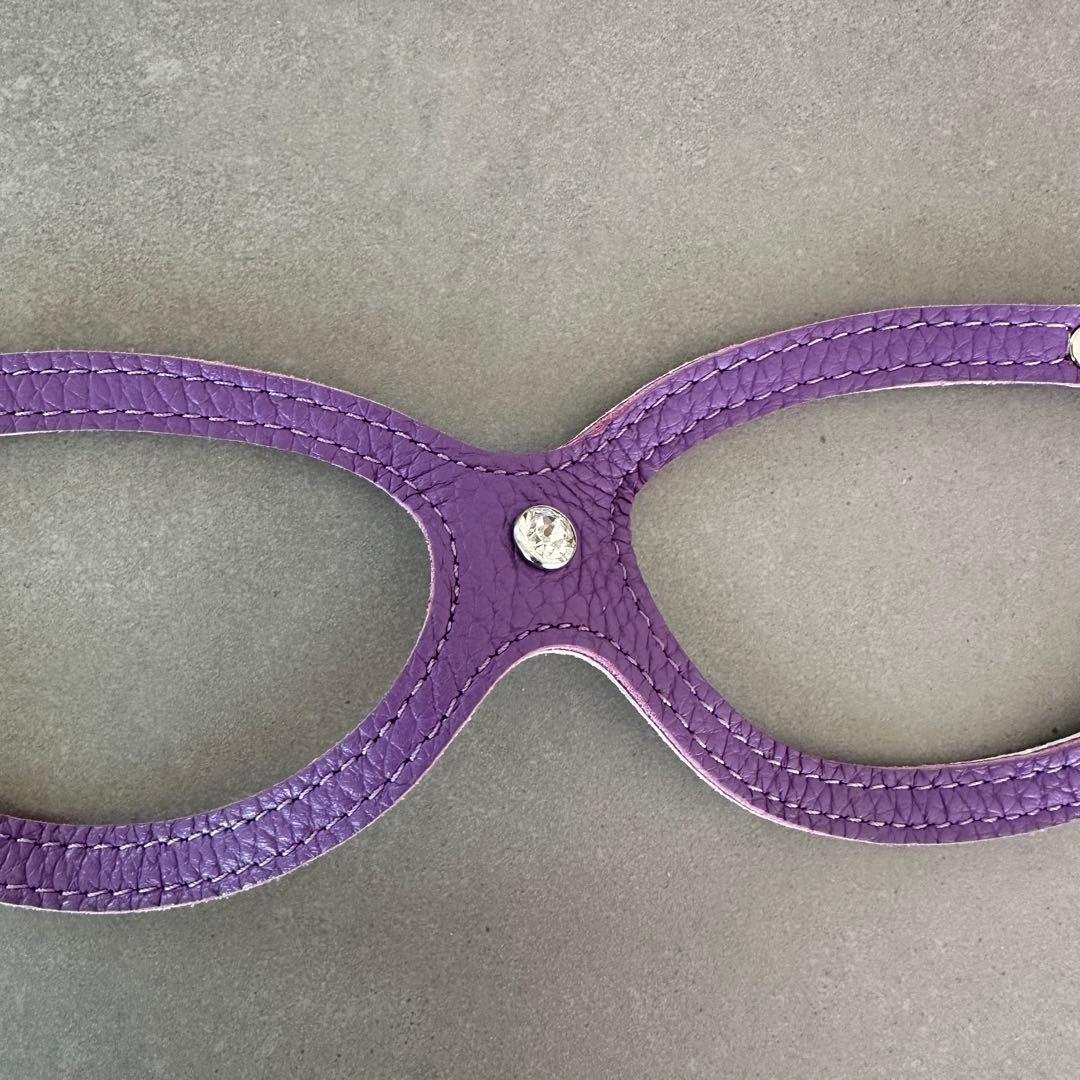 バディベルト BUDDYBELTS 3.5 紫 ハーネス