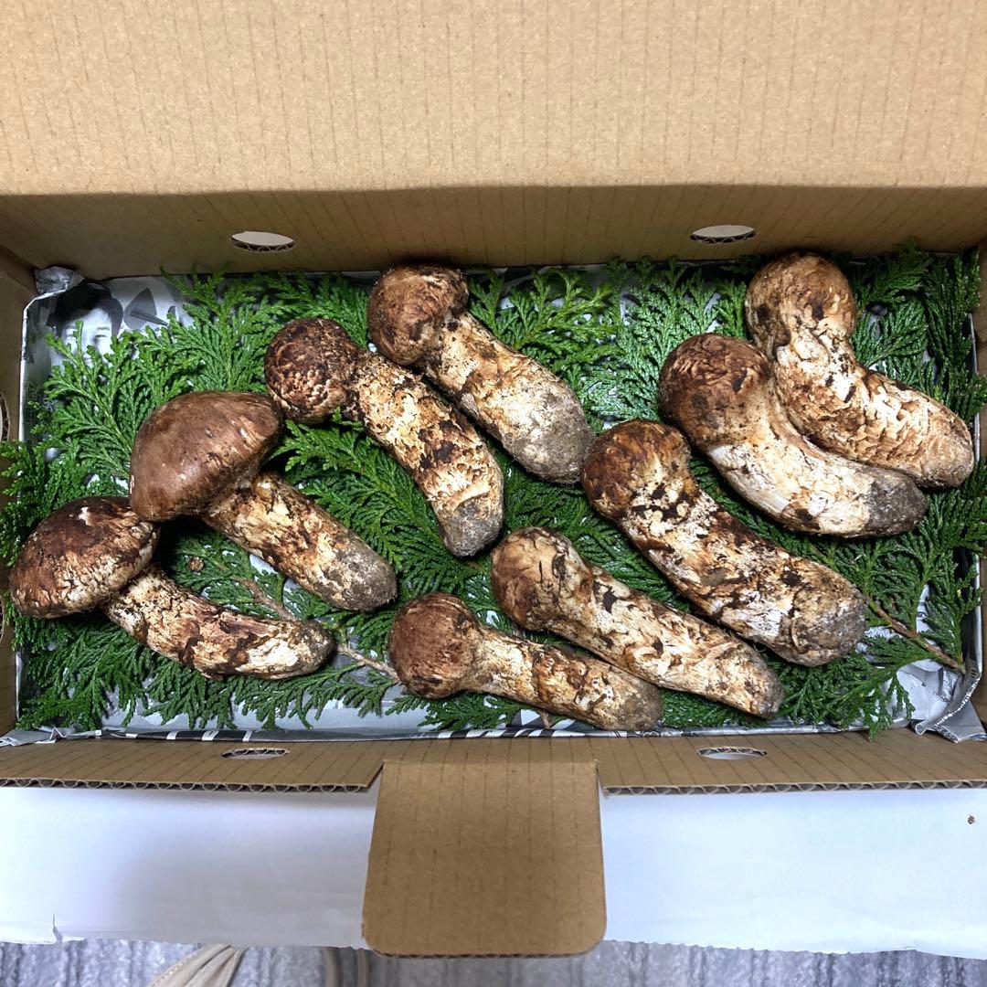 岩手県産　松茸　320g