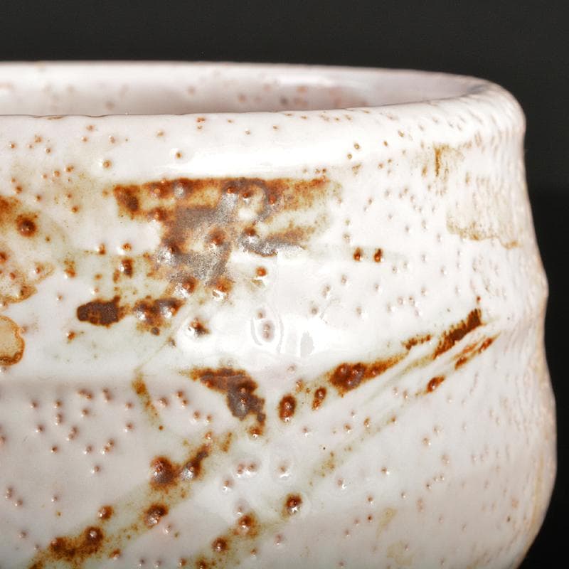 人間国宝　荒川豊蔵作　志野焼　絵志野　茶碗　仕覆付　共箱二重箱　D　R6864