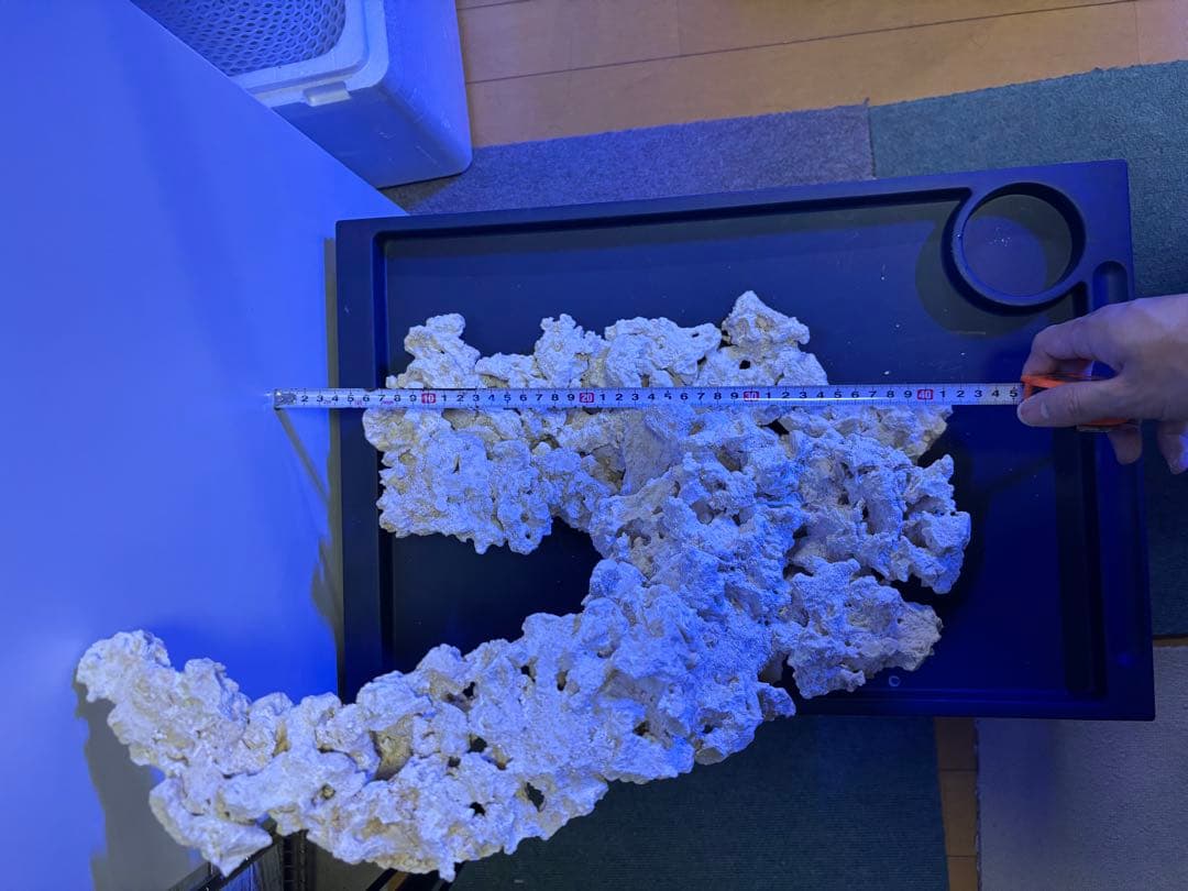 【一点物】マルコロックレイアウト品　海水・サンゴ水槽向け