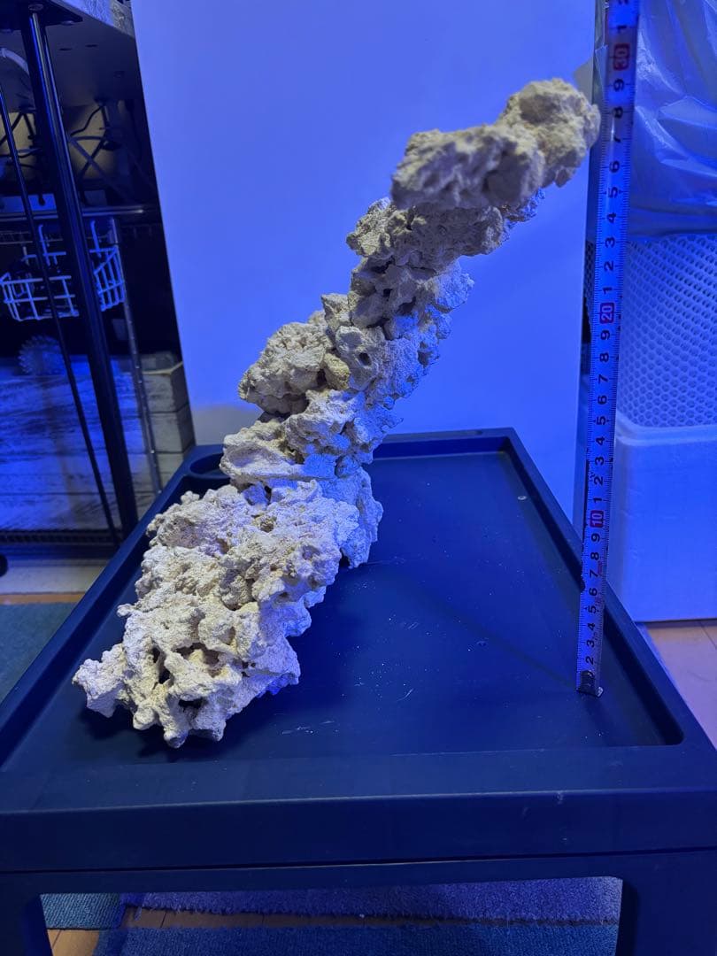 【一点物】マルコロックレイアウト品　海水・サンゴ水槽向け