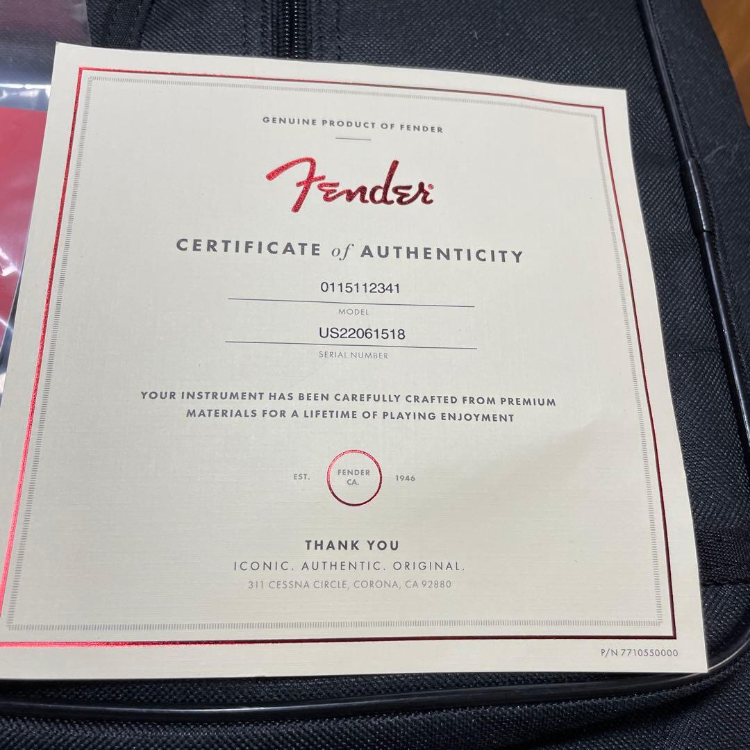 USA フェンダーテレキャスターアメリカンパフォーマービンテージホワイト