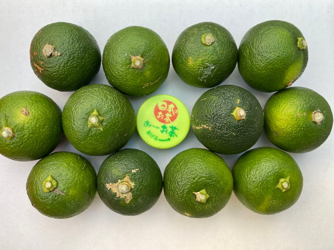 徳島県神山町産すだち《冷蔵貯蔵》　キズ・色ムラあり 5キロ Lサイズ ①