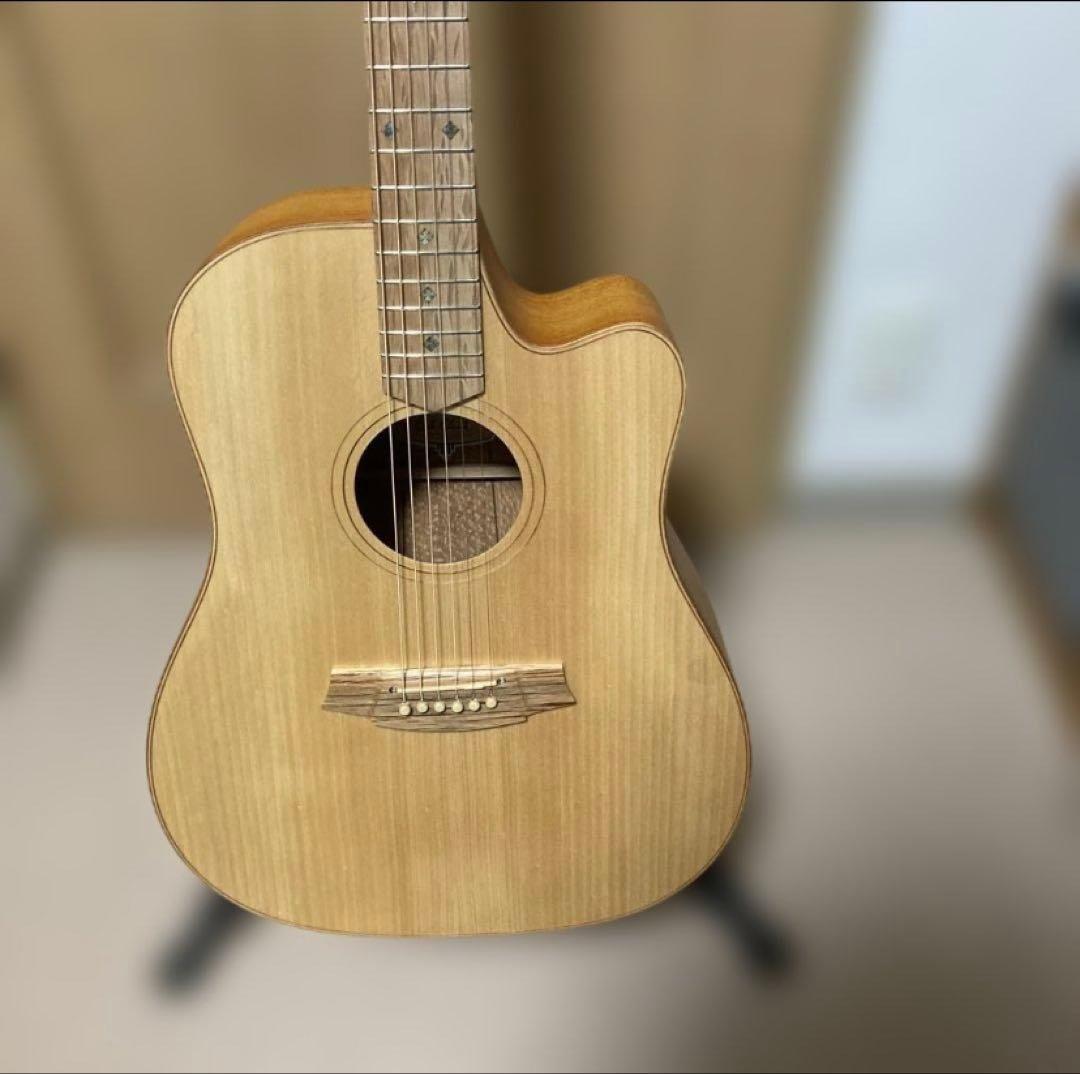 Cole Clark FL2EC・BSO 中古美品