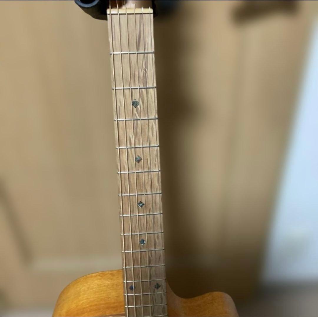 Cole Clark FL2EC・BSO 中古美品