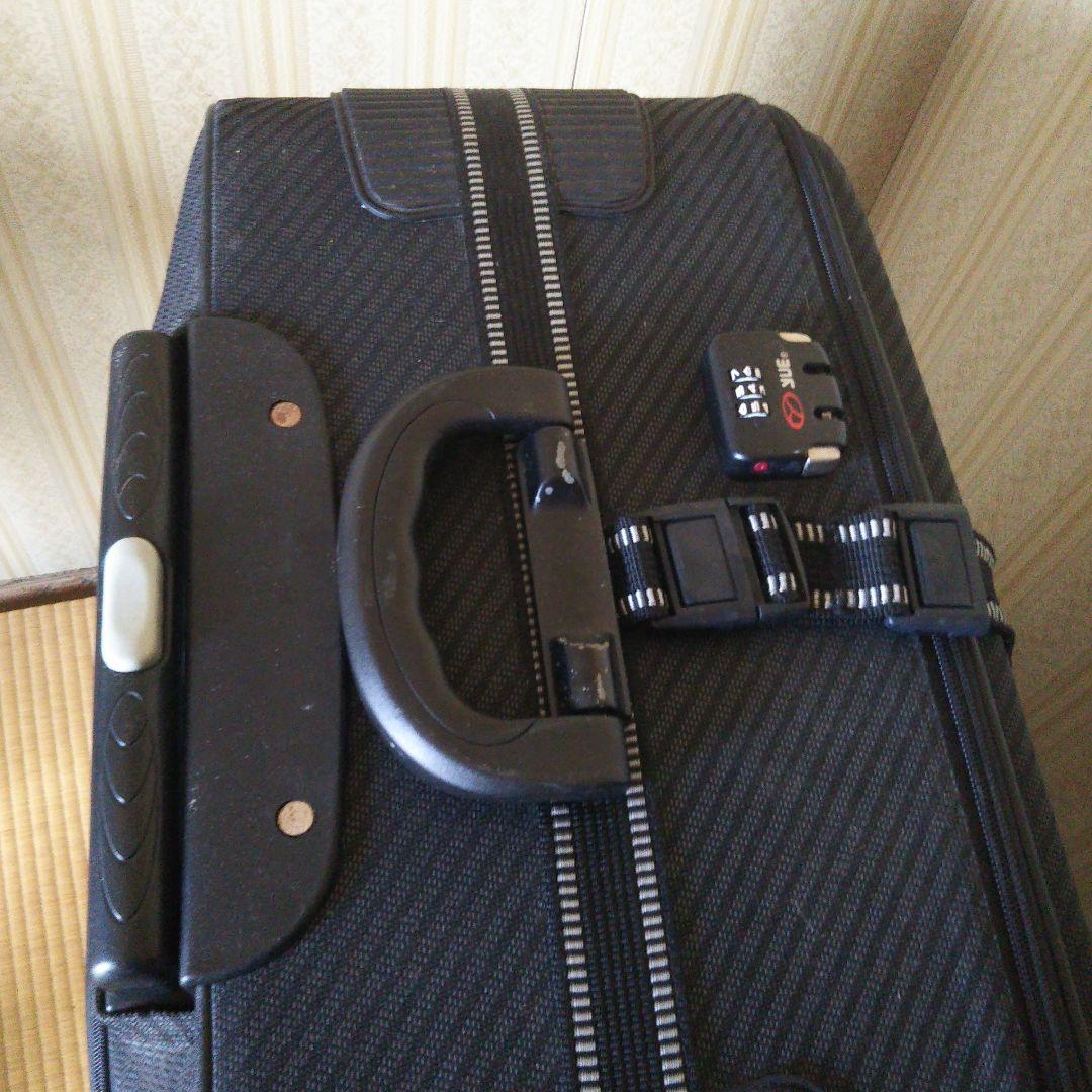 大型キャリーバッグ 布製ソフトケース　Lサイズ　2個セット