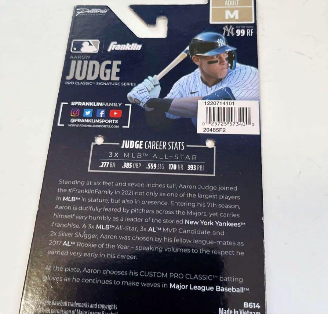 ラスト1個❗️値下げ❌Franklin フランクリン　限定ジャッジモデル　Mサイズ