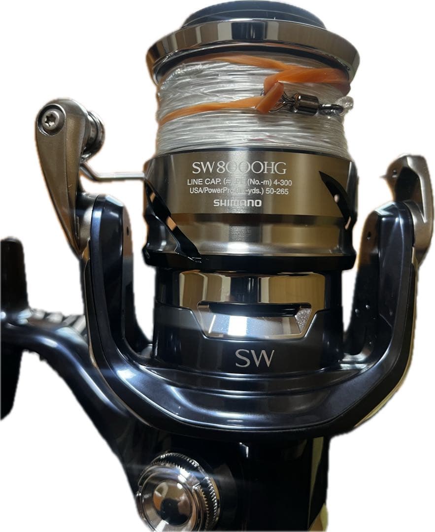 21TWINPOWER SW8000HG ツインパワーSW