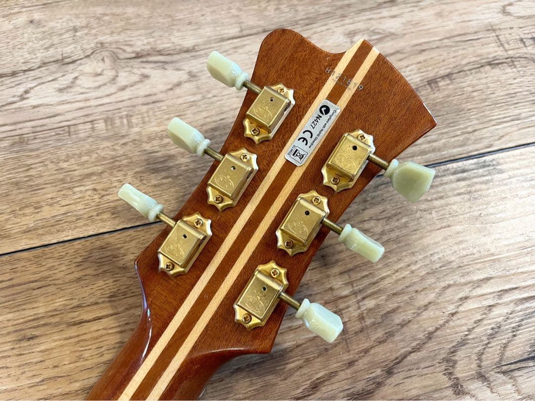 Fujigen/Masterfield MFA-FP 【フジゲン】【フルアコ】