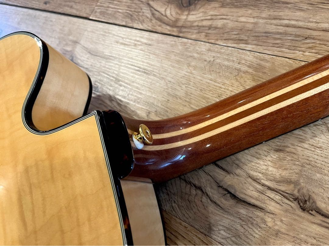 Fujigen/Masterfield MFA-FP 【フジゲン】【フルアコ】