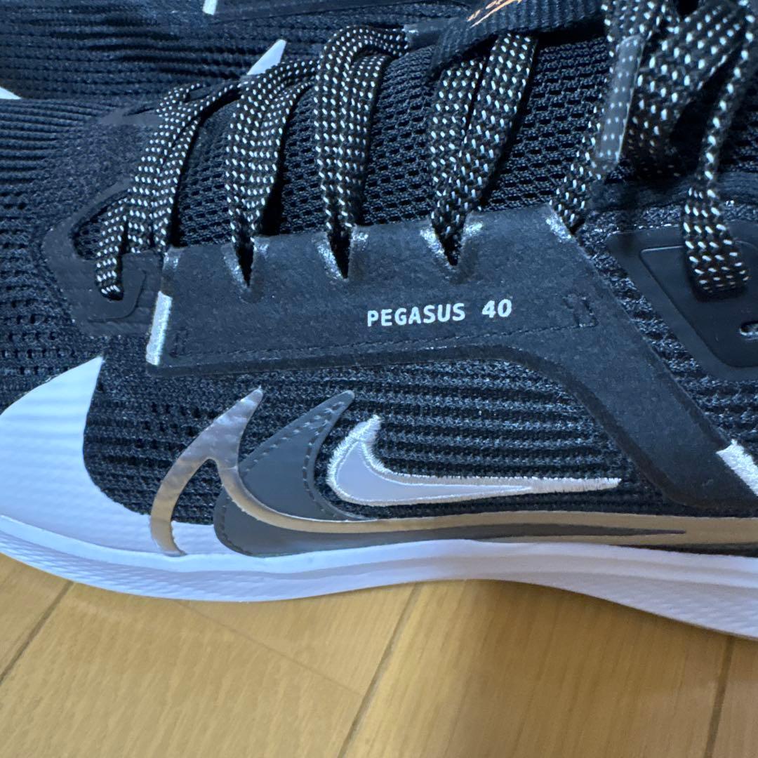 大きいサイズ　試着のみ　Nike Pegasus 40ブラックus13 31cm