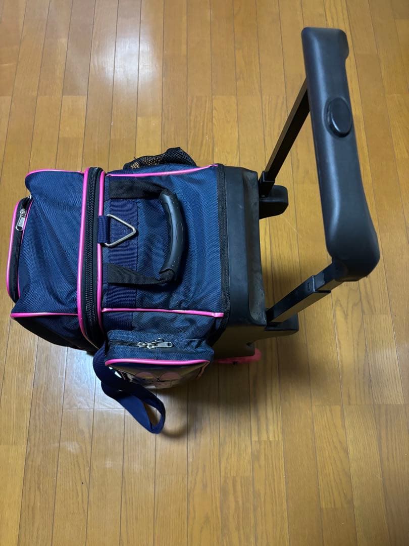 ブランズイックボウリングバック