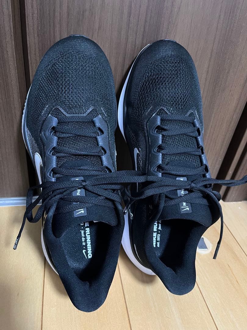 【超美品】NIKE ナイキ ペガサス 41 ワイド　28cm