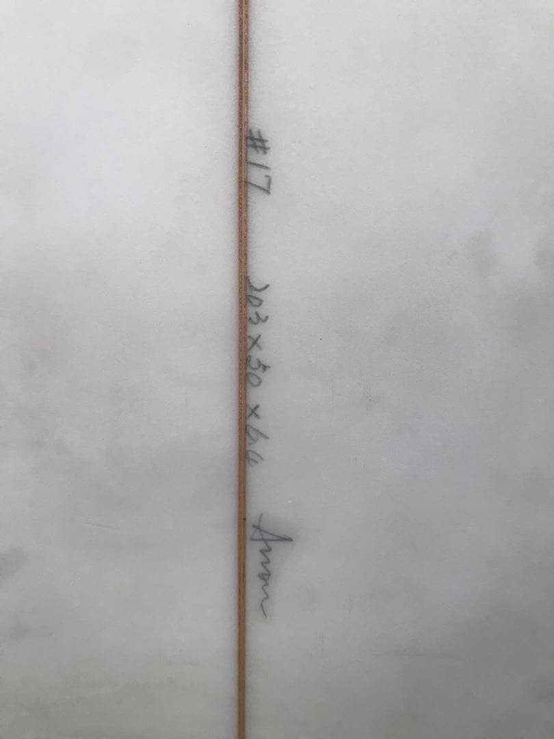 サーフボード サーフィン FCS  ショート