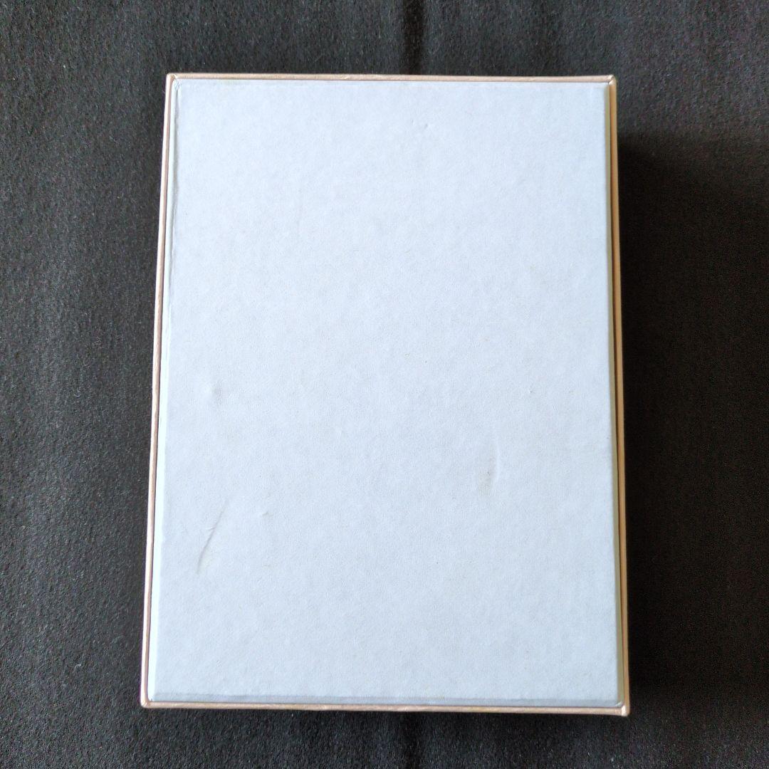 フェイ·ウォン　ジグソーパズル未使用品